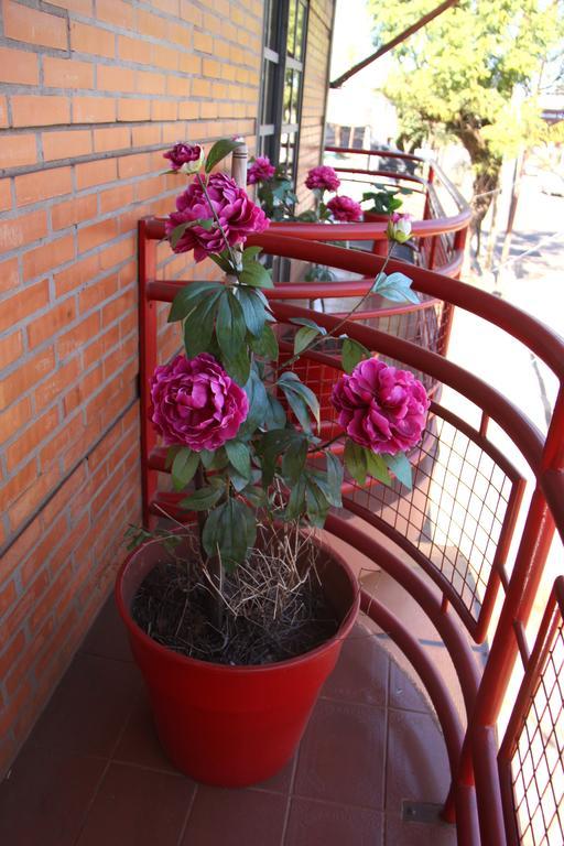 Hosteria Maryland Posadas Luaran gambar